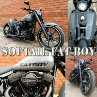 SOFTAL FAT BOY GROUP